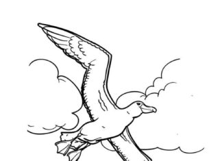 Online coloring pages Albatross flies by the sea