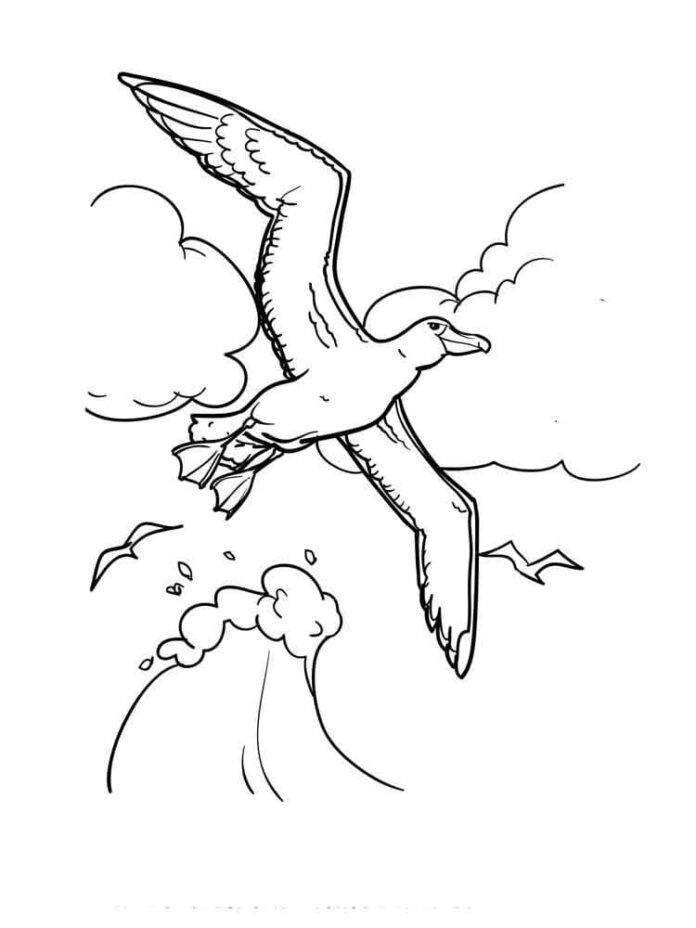 Online malebog Albatros flyver ved havet