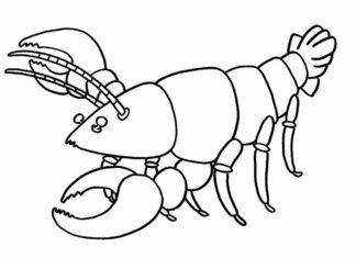 Online coloring pages Lobster for kids