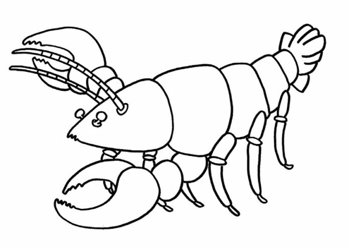 Online coloring pages Lobster for kids