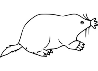 Online coloring pages Mole for kids