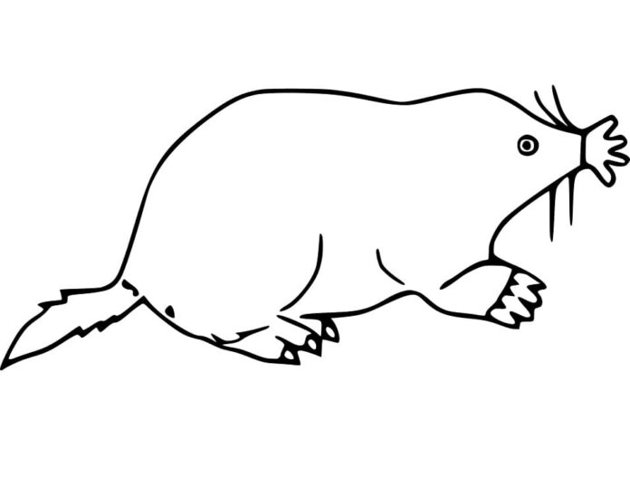 Online coloring pages Mole for kids