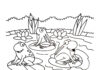 Online coloring book of frogs and chickens on a farm