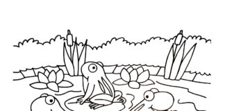 Livre de coloriage en ligne représentant des grenouilles et des poulets dans une ferme