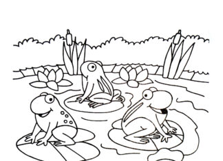 Online coloring book of frogs and chickens on a farm
