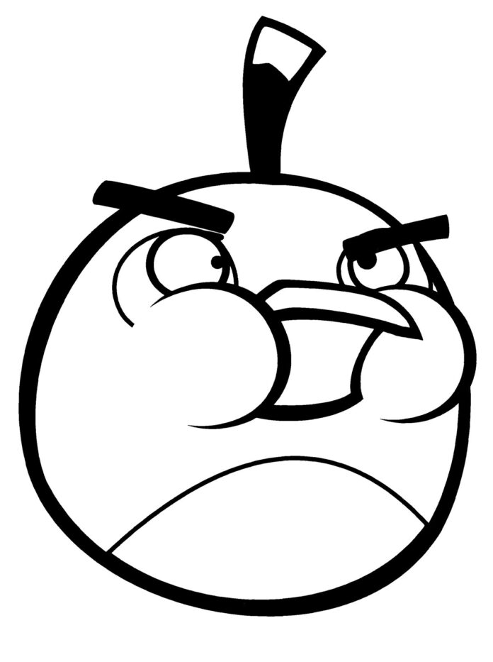 Livre de coloriage Angry birds du jeu pour enfants