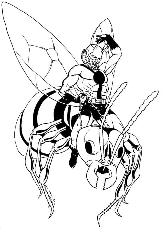 Libro da colorare Ant Man Marvel per ragazzi da stampare