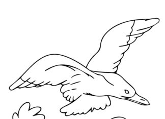 Livro de colorir imprimível Atacar gaivota das árvores