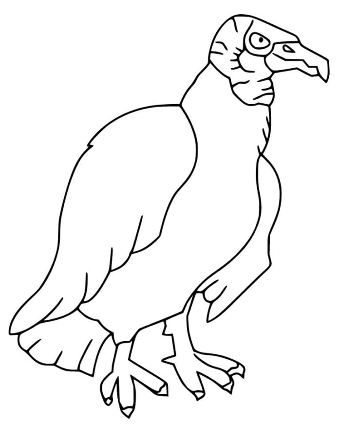 Online coloring book The big vulture is watching
