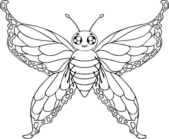 Stor fjäril som kan skrivas ut och färgläggas för barn