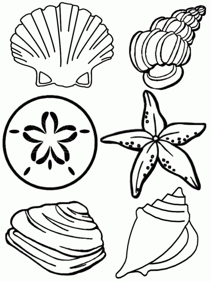 Printable Big shells on sand coloring book