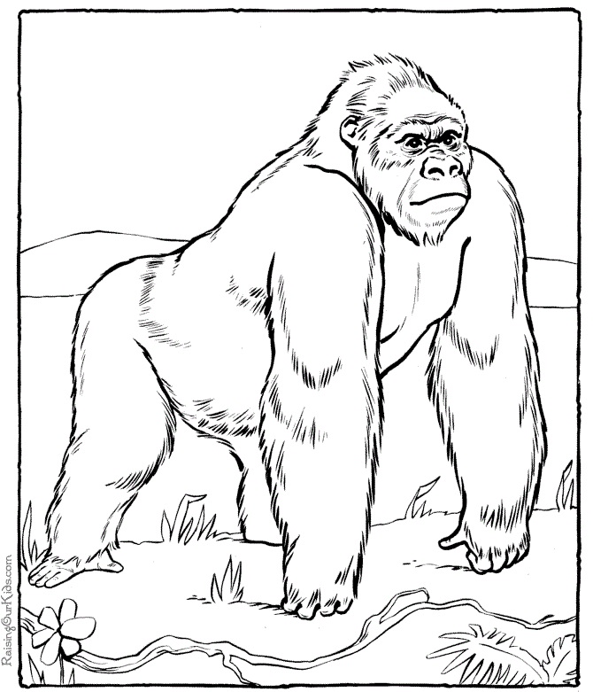Malbuch Großer Gorilla für Kinder zum Ausdrucken