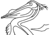 Livro de colorir para impressão Grande pelicano realista