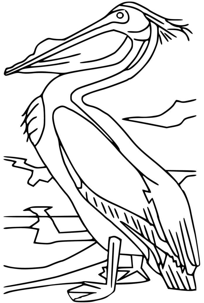 Malebog til udskrivning Stor realistisk pelikan