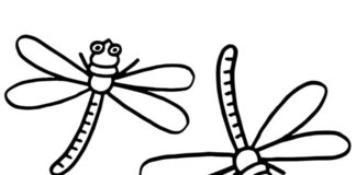 Omaľovánka Dve veľké vážky na vytlačenie