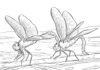 Malbuch Zwei realistische Libellen zum Ausdrucken