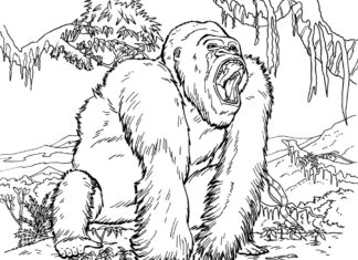 Farvelægningsbog til udskrivning Gorilla i en tropisk skov