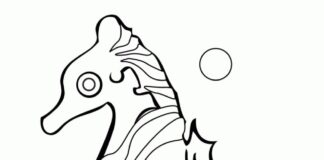 Printable Seahorse and Coral Reef Coloring Book