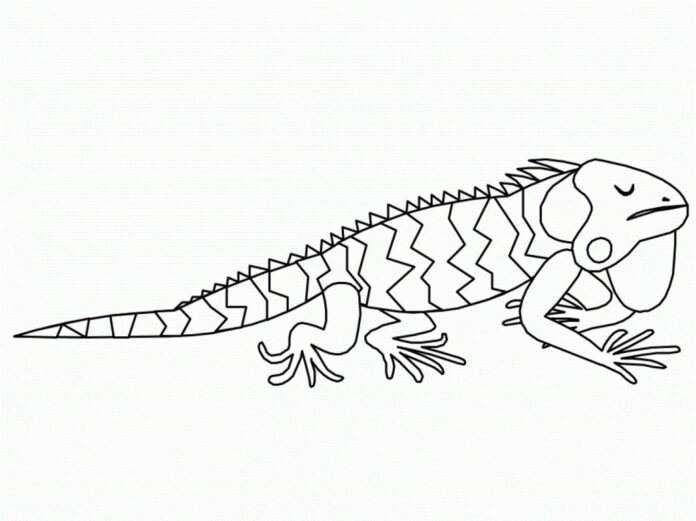 Libro da colorare L'iguana addormentata per bambini da stampare