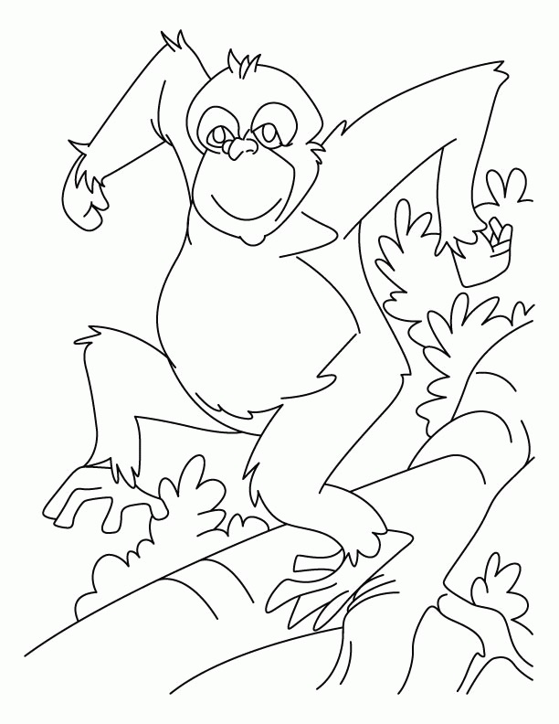 Malá opička skáče na stromech omalovánky k vytisknutí