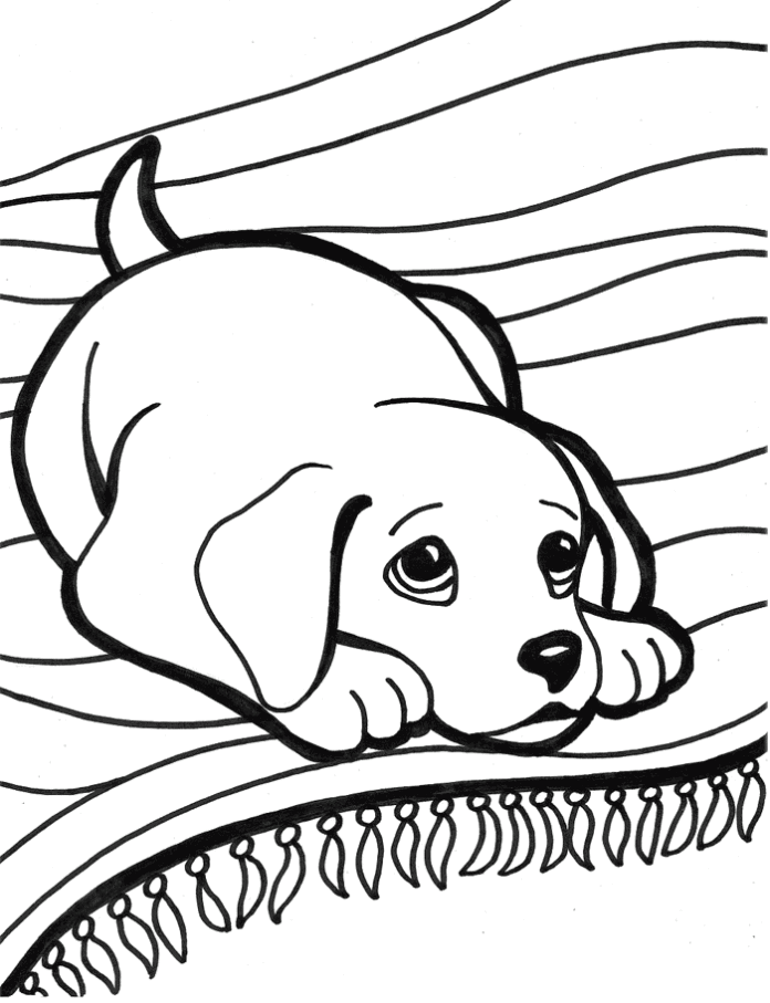 Libro para colorear Un perrito durmiendo en una manta para imprimir y en  línea
