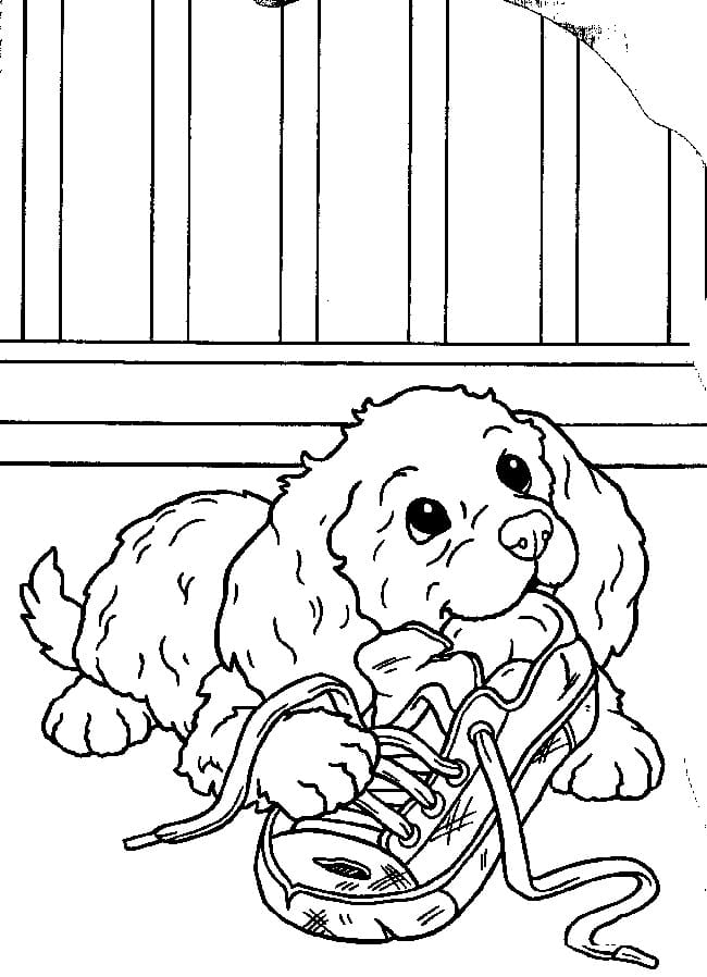 Online coloring book Little dog chews his shoe