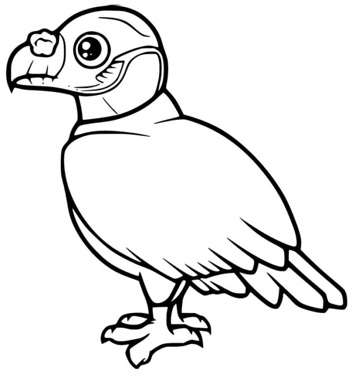 Online coloring book Little vulture for kids