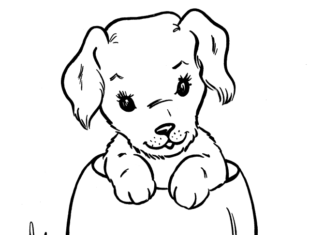 Livro para colorir Um pequeno cachorrinho labrador para imprimir