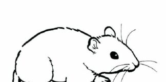 Online-Malbuch Kleine Ratte aus dem Märchen