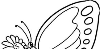 Printable coloring book Butterfly on flowers