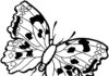 Kolorowanka Motyl w kropki czarne do druku dla dzieci