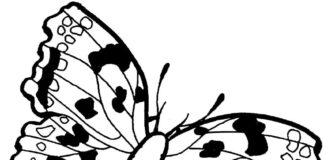 Kolorowanka Motyl w kropki czarne do druku dla dzieci