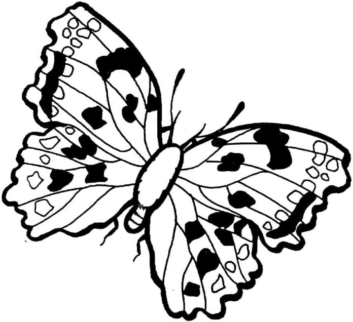 Livre de coloriage Papillon à pois noirs à imprimer pour les enfants
