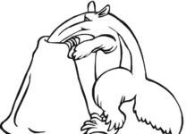 Printable coloring book Ant-eater fights ants