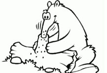 Printable coloring book Ant-eater eating ants