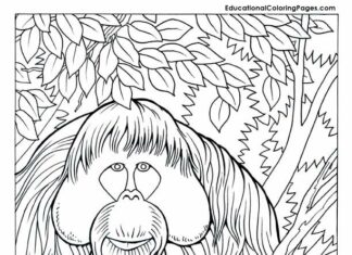 Livre de coloriage à imprimer Orang-outan dans la forêt tropicale