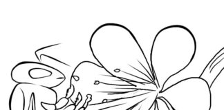 Printable coloring book Wasp on a flower