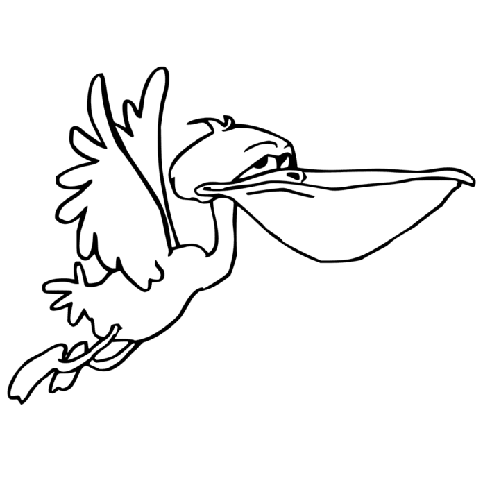 Printable coloring book Pelican in flight