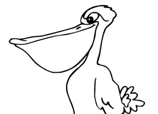 Tecknad pelikan som kan skrivas ut och färgläggas för barn