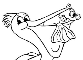 Printable coloring book Pelican with a sunfish