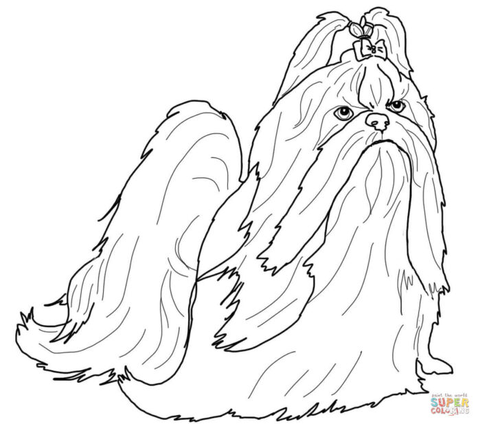 Shih tzu dog coloring book for kids to print