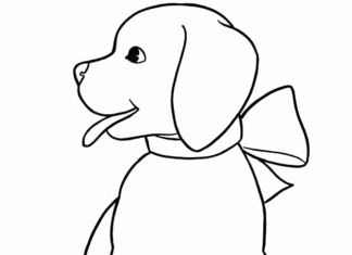 Farvelægningsbog til børn til udskrivning Hund med sløjfe til børn