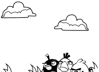 Libro da colorare Personaggi del gioco Angry birds