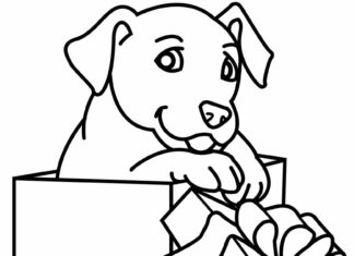 Livro para colorir Gift labrador de cachorro imprimível