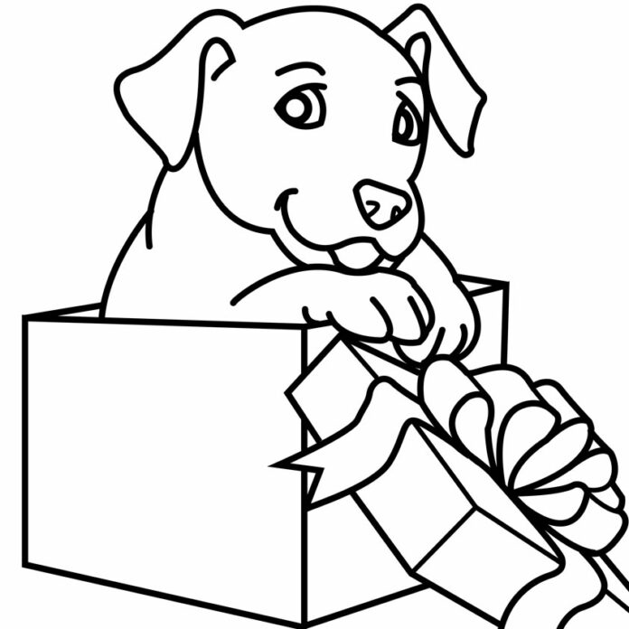 Vytlačenie darčekovej omaľovánky labradora