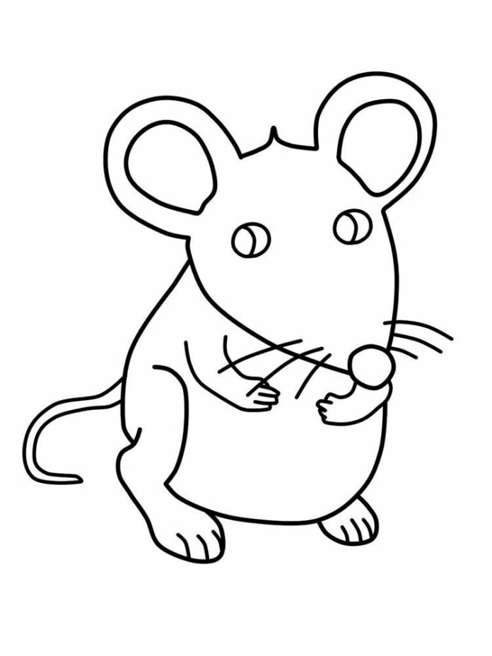 Online Coloring Book Simple Rat Picture