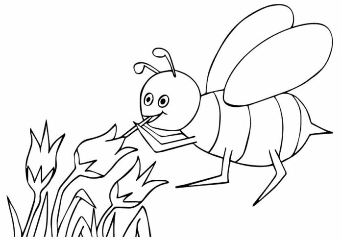 Malbuch Bee für Kinder zum Ausdrucken