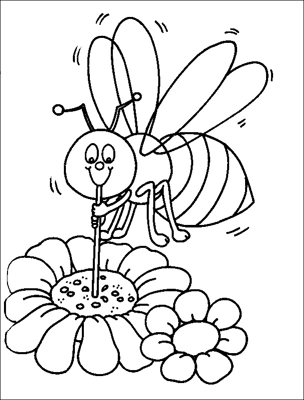 Coloring Book Bee drinks nectar from flowers to print