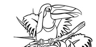 Livro para colorir Toucan Bird, para impressão