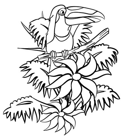 Tisknutelné Toucan Bird Omalovánky